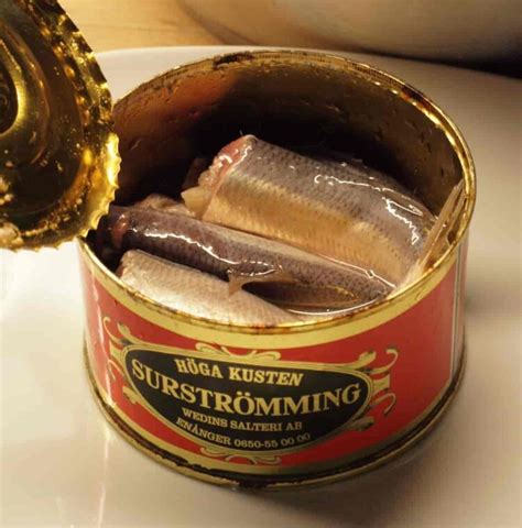 worst smelling fish in a can|Fermented smelly Swedish fish: Surstromming